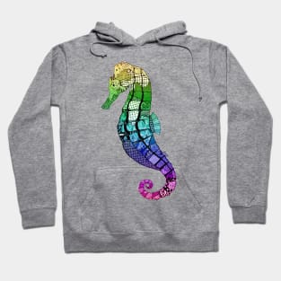 Seahorse Rainbow Hoodie